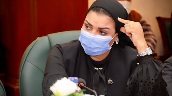 النائبة ألفت المنزلاوي