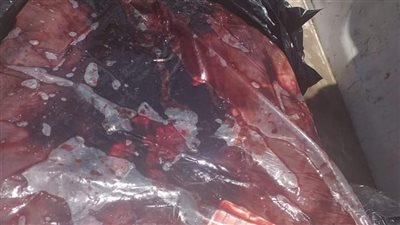 ضبط ثلاجة لحفظ السلع دون ترخيص بها كميات لحوم فاسدة بالقليوبية