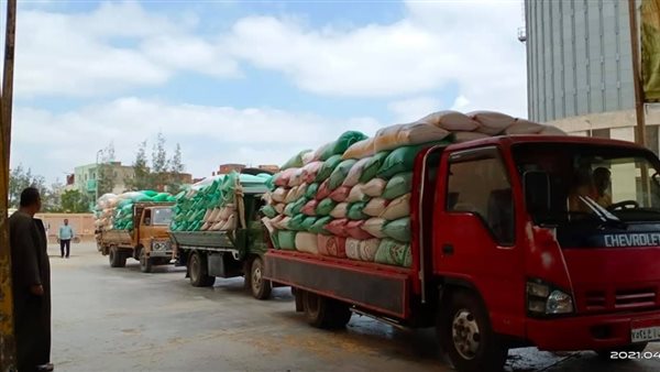 توريد القمح بكفر