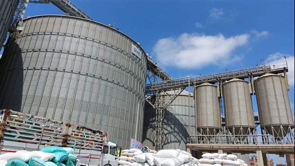 توريد القمح بالبحيرة