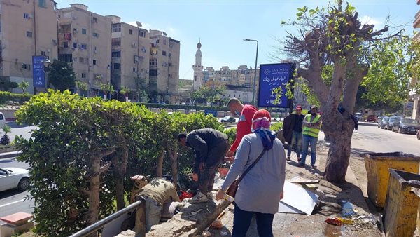 حملة بوسط الإسكندرية