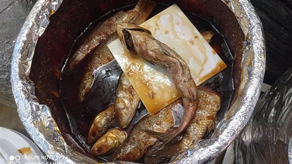 فسيخ غير صالح للاستعمال