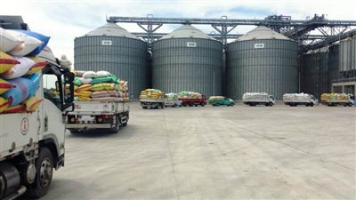 خلال 8 أيام.. الشرقية تحصد 185 ألف طن قمح في موسم حصاده