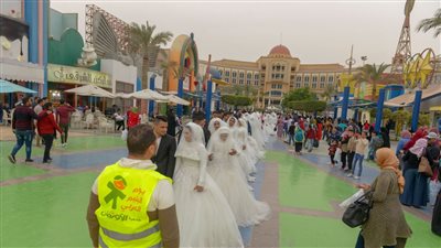 مبادرة لتيسير زواج 730 فتاة يتيمة في الشرقية (صورة)