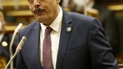 برلماني يطالب بتحصيل رسم 1% من المستشفيات الخاصة لحل أزمة تكليف الصيادلة 