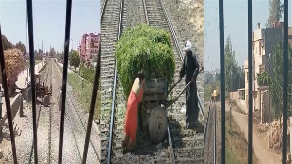 حوادث القطارات امس