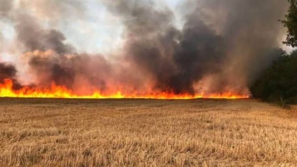 حريق زراعات القمح