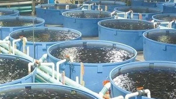 الاستزراع السمكي