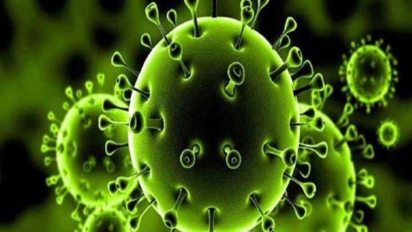 فيروس كورونا