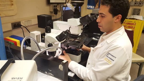 باحث علم المصريات