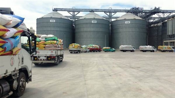 موسم حصاد القمح بالشرقية