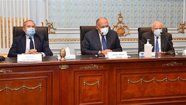 سامح شكري وزير الخارجية