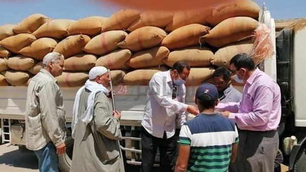 توريد قمح - أرشيفية