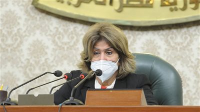 الشوباشي ترفض الاستمرار بلجنة إعلام النواب: لم يتم الاستعانة بي طيلة أيام عملها