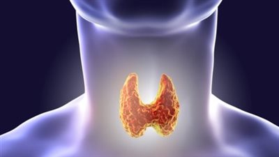 انخفاض مستوى الذكاء.. تعرف على مرض قصور الغدة الدرقية وأهم أعراضه