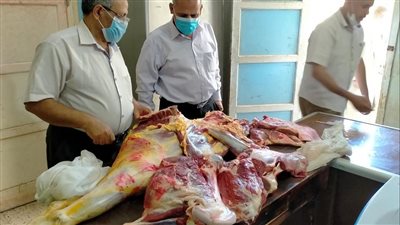 ضبط 103 كيلو لحوم غير صالحة  وتحرير 13 محضرًا لمخالفات بأسيوط