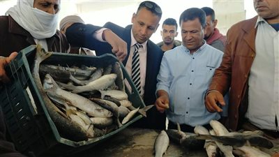 احتفالًا بذكرى تحرير سيناء.. افتتاح موسم الصيد في بحيرة البردويل (صور)