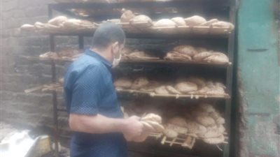 تموين المنيا: تحرير 94 محضرا في حملة على الأسواق والمخابز