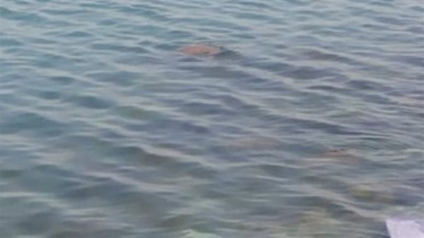 ترعة - أرشيفية