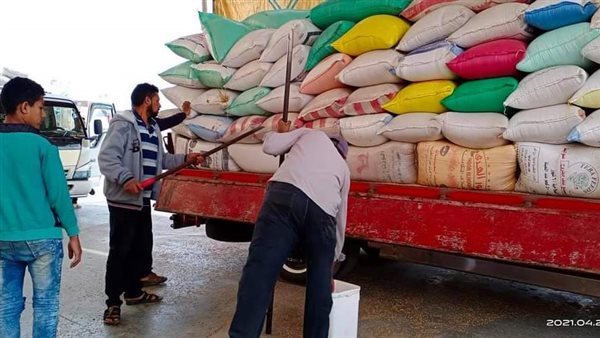 توريد القمح بالبحيرة