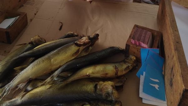 حملة لكشف الفسيخ