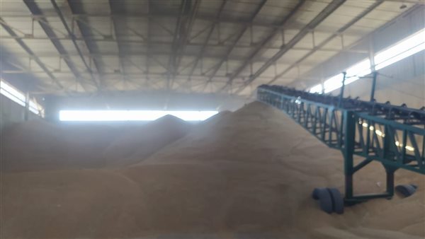 توريد القمح 