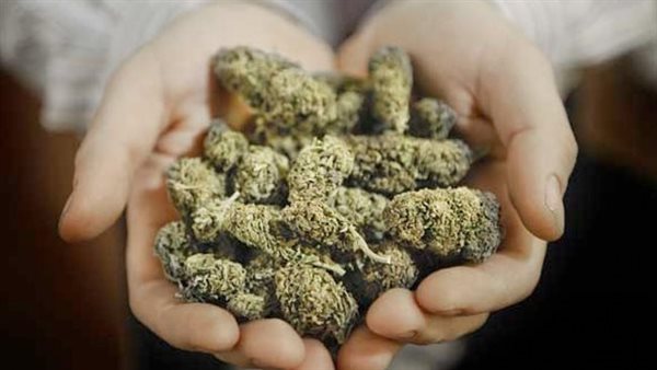 مواد مخدرة _أرشيفية