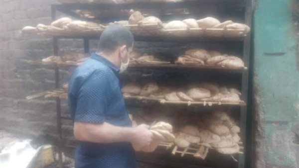 حملة تموينية بالمنيا