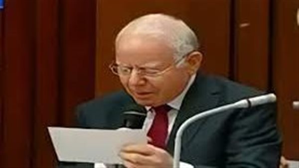 النائب أحمد شاهين