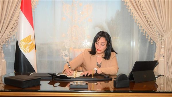 غادة شلبي نائب وزير