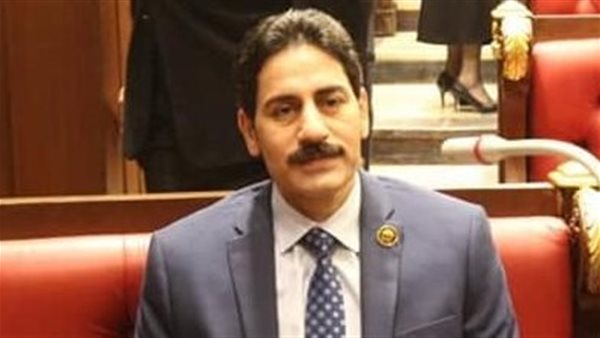 النائب فكتور فاروق