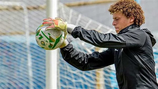 أحمد نادر السيد