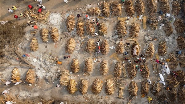 كورونا في الهند 