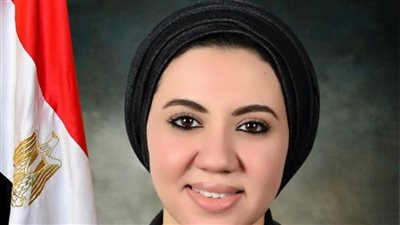  موازنة الهجرة بشأن المصريين في الخارج على طاولة خارجية النواب (خاص) 