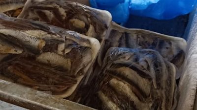 ضبط سلع غذائية منتهية الصلاحية في حملات موسعة بالإسكندرية