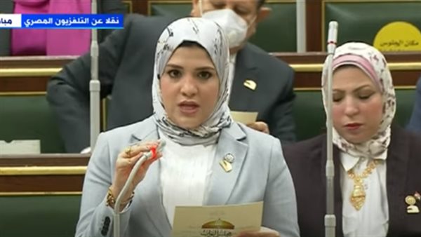  غادة قنديل عضو مجلس