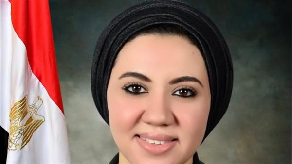  النائبة أميرة صابر