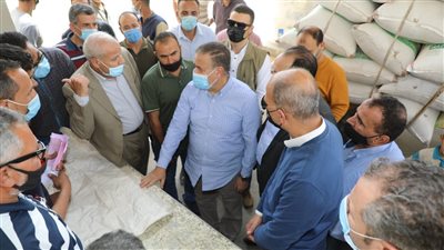 محافظ المنوفية: توريد 50 ألف طن قمح إلى صوامع المحافظة منذ بداية الموسم