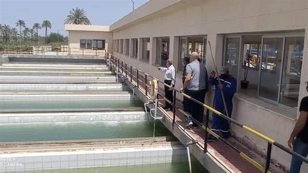 مياه الإسكندرية