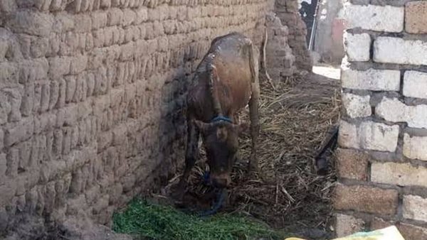 حريق ارشيفية 