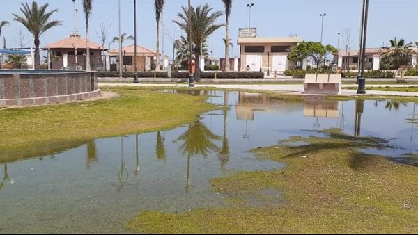 إغراق حدائق بورسعيد