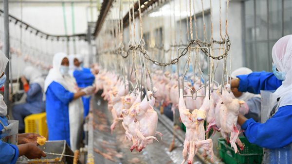 المجزر الآلي بقنا