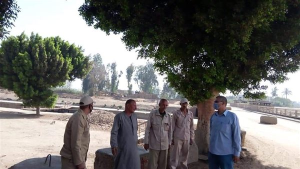 محليات المنوفية