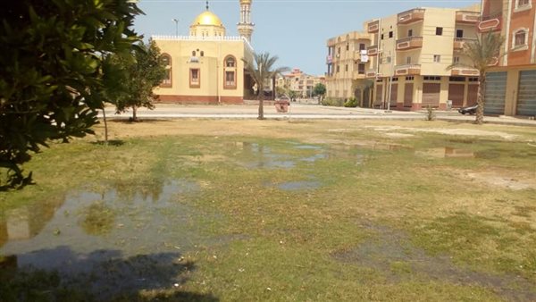 غمر المساحات الخضراء