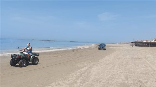 دوريات بالبيتشى باجى