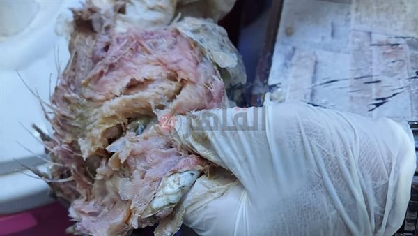 ملوحة فاسدة