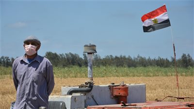 توريد نحو 4 آلاف طن قمح إلى شون وصوامع بورسعيد منذ بدء الموسم