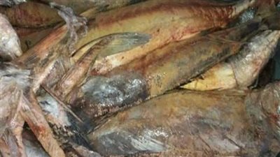 ضبط طن لحوم وأسماك رنجة فاسدة بنطاق أحياء القاهرة 