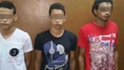 تجديد حبس 3 أشخاص بتهمة الاستيلاء على 12 مليون جنيه