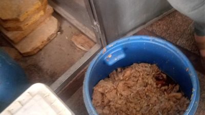 ضبط طن ونصف لحوم ودواجن غير صالحة للاستهلاك الآدمي بثلاجة بشبرا الخيمة 